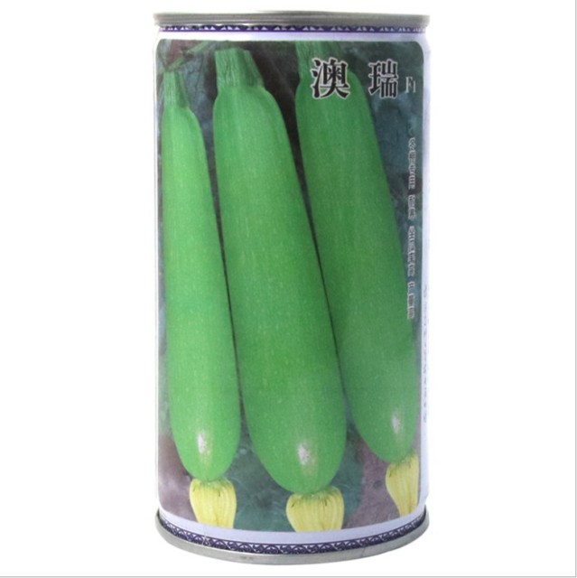 50gram italian zucchini seeds