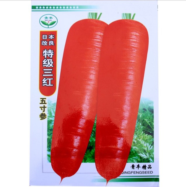 800 seeds mini carrot seeds