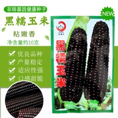 10 gram organic sweet corn seed