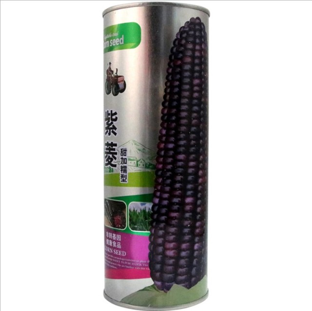 500gram sticky corn seeds