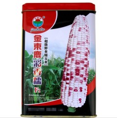 200gram seed corn dealers