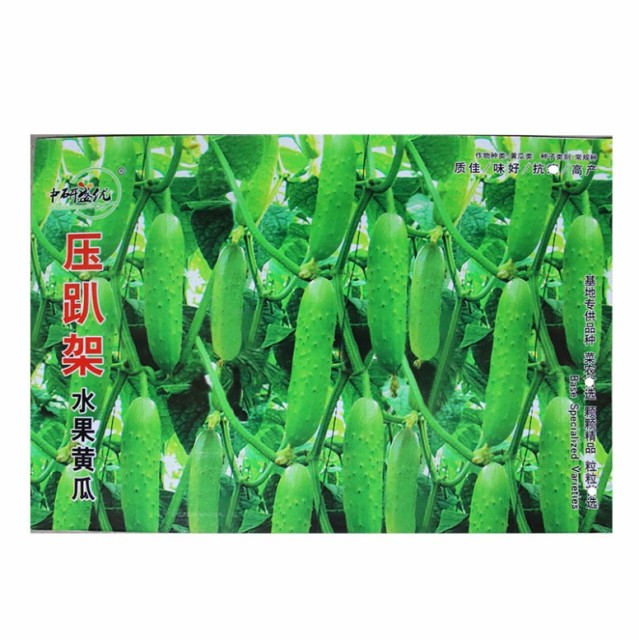 50 seeds cucumber melon seeds