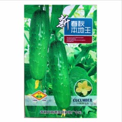 china jade cucumber seeds