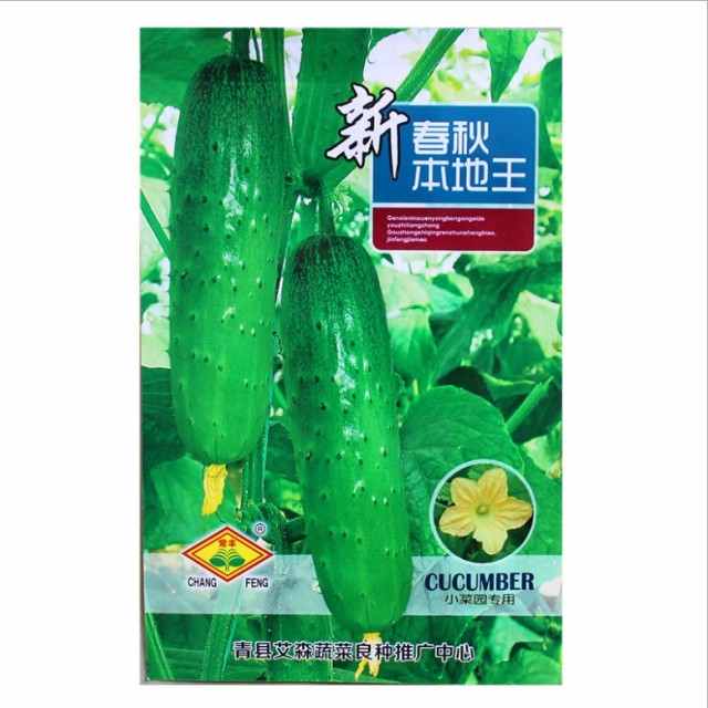 china jade cucumber seeds