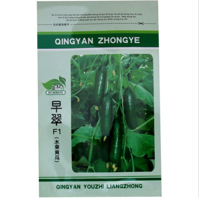 100 seeds spacemaster cucumber seeds