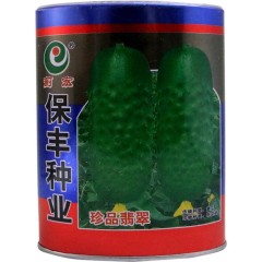 40gram white cucumber seeds