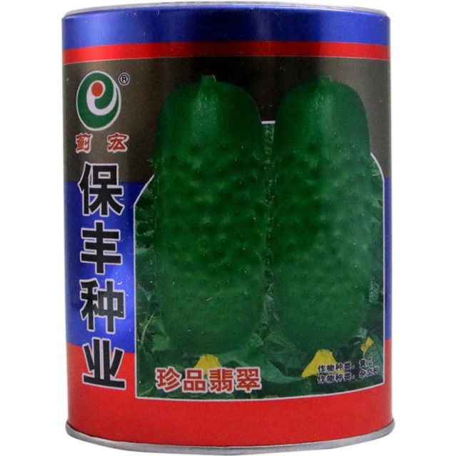 40gram white cucumber seeds