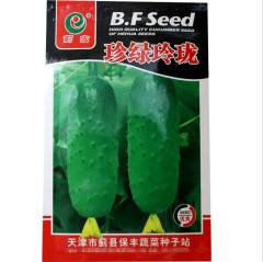 armenian cucumber seeds