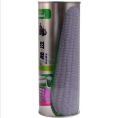 200gram kandy corn seeds