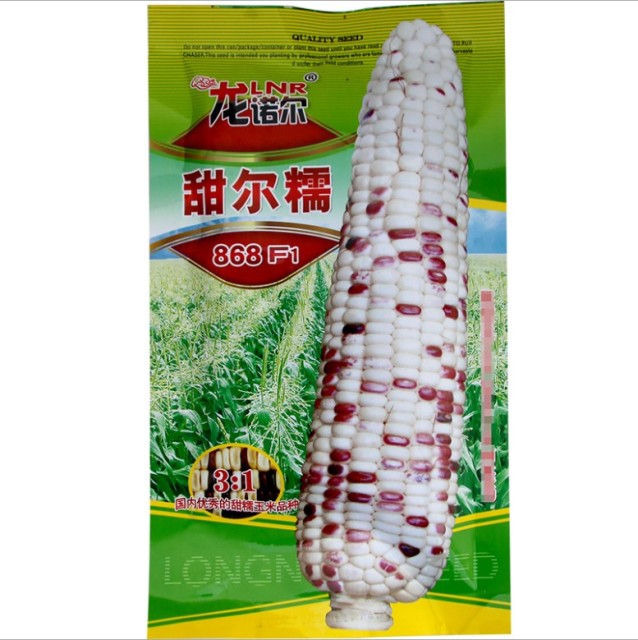 200gram hulless popcorn seeds
