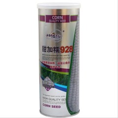 500gram nk corn seed