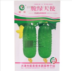 english cucumber seeds