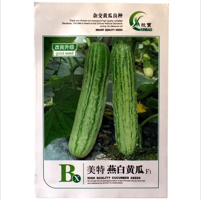 200 seeds hybrid cucumber seeds