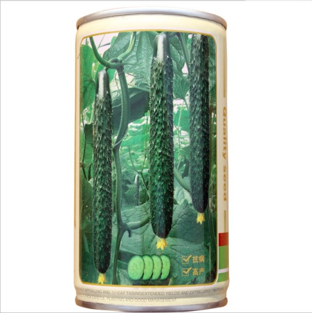 40gram european cucumber seeds