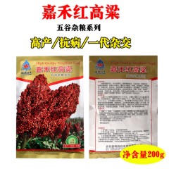 200gram sorghum seed for sale near me