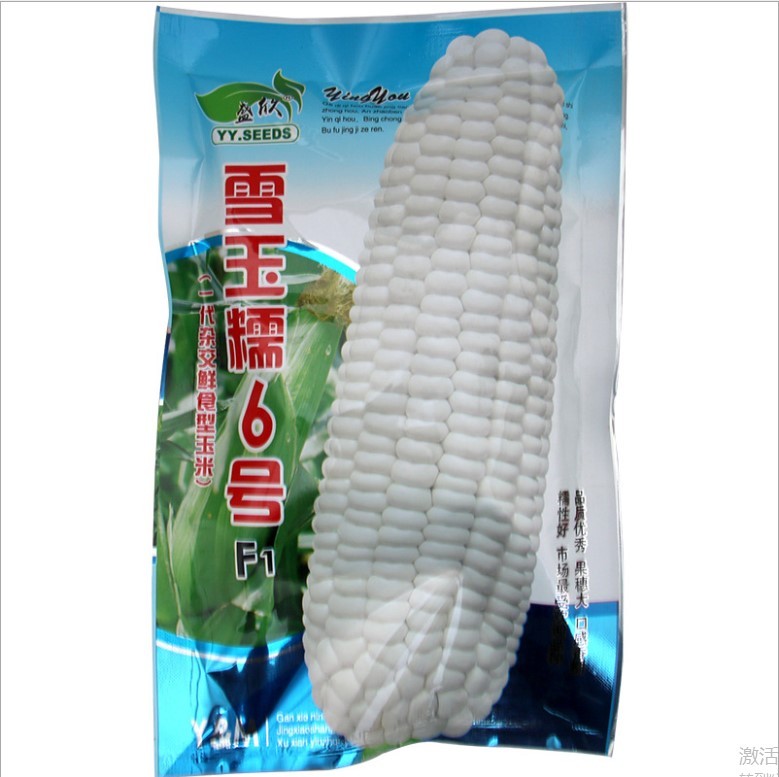 20gram field corn seed