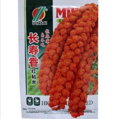 150gram pearl millet seed for sale near me