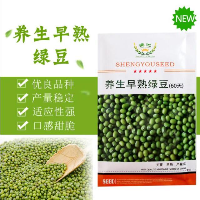 100gram organic mung beans for sprouting