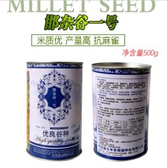 500gram golden millet seed