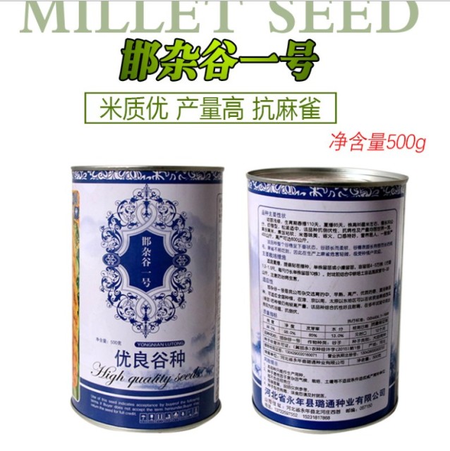 500gram golden millet seed