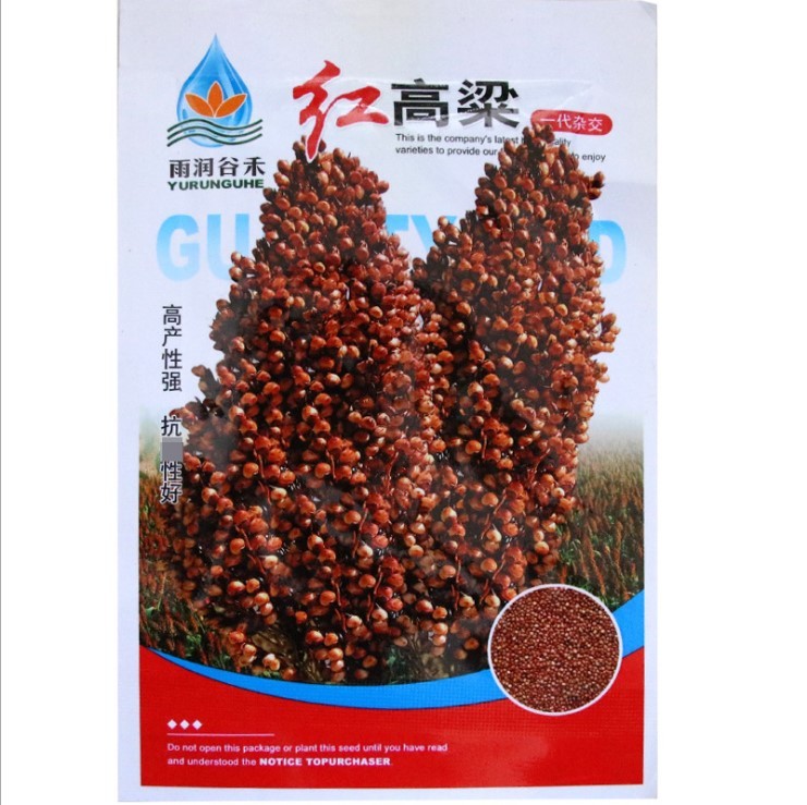 50gram hybrid sorghum seed for sale