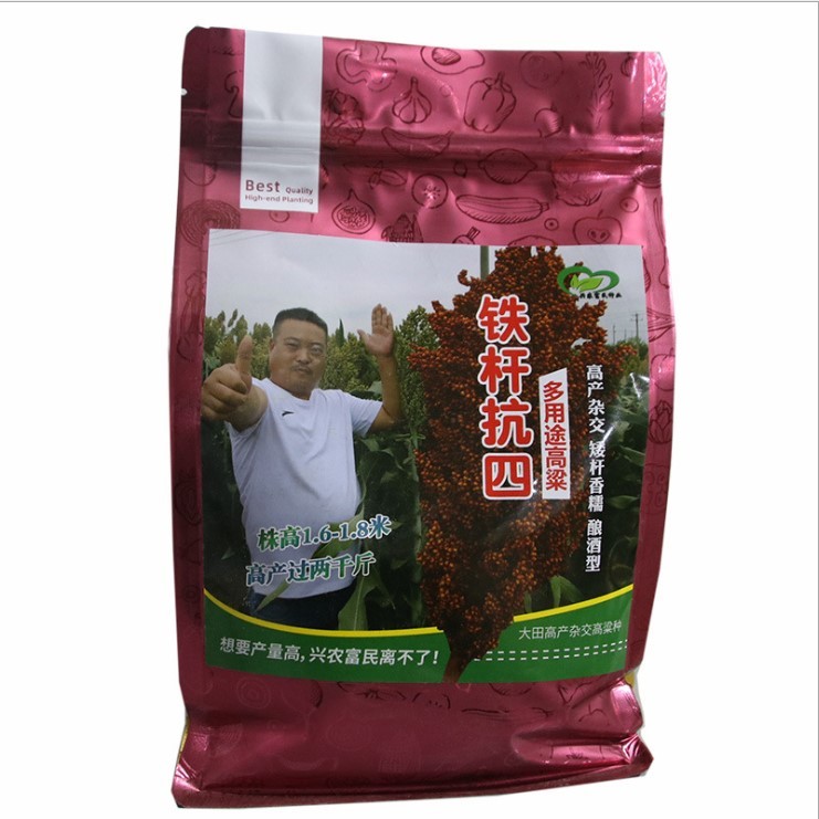 98% germination rate grain sorghum seeds/Broomcorn seeds 500gram/bags