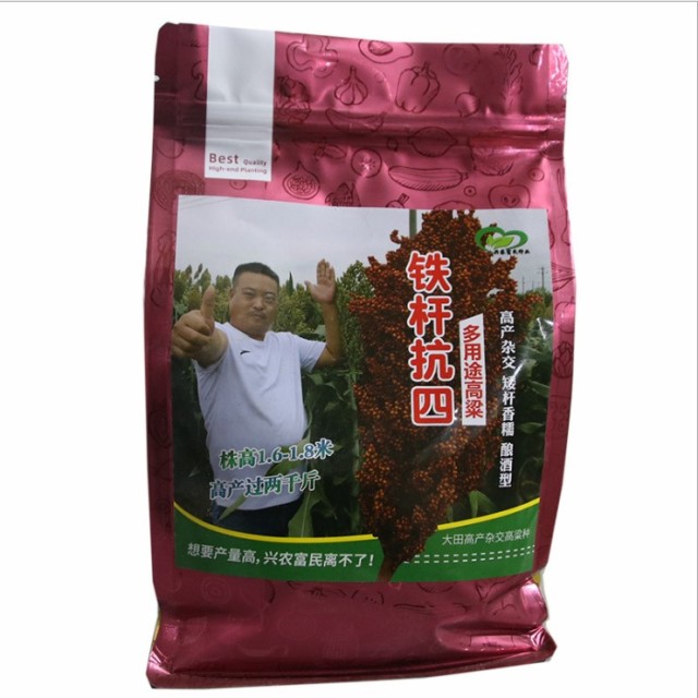 98% germination rate grain sorghum seeds/Broomcorn seeds 500gram/bags