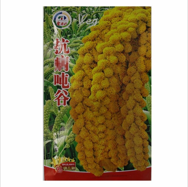 200gram japanese millet seed for sale near me