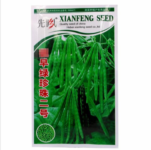 100gram organic mung beans for sprouting