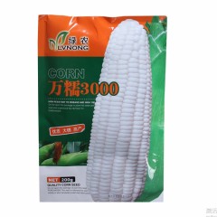 200gram silver queen corn seeds