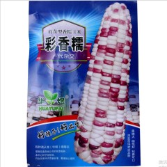 50gram sweet corn seed for sale