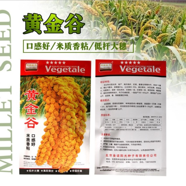200gram brown top millet seed for sale near me