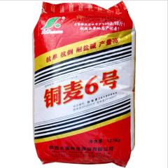1kg egyptian wheat seed