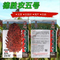 200gram milo seed for sale near me