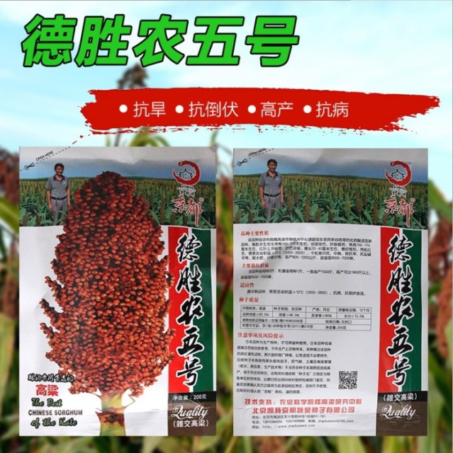 200gram milo seed for sale near me