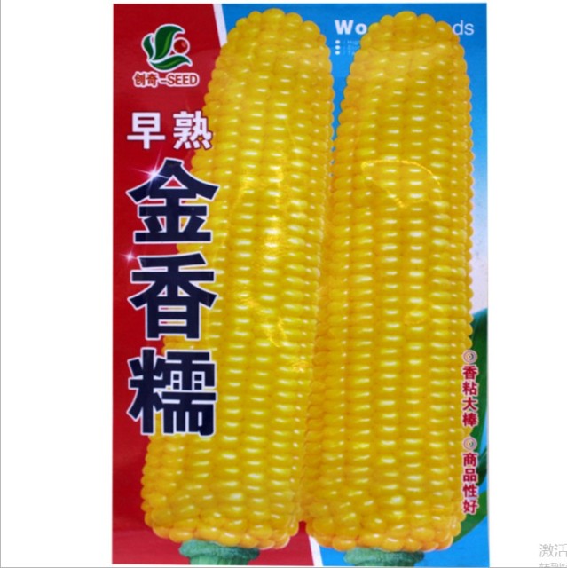 10gram roundup ready corn seed