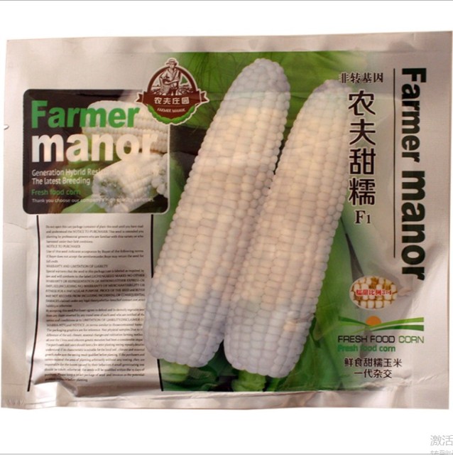 100gram pioneer seed corn