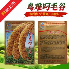 200gram wild millet seed