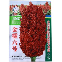 200gram sweet sorghum seed for sale