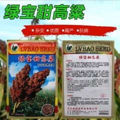 50gram sweet sorghum seed