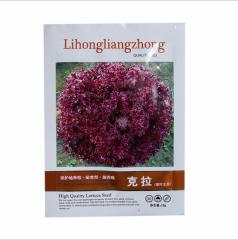 10gram lettuce seeds growing