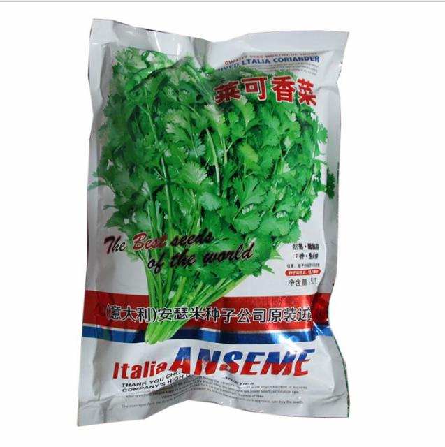 500gram caraway thyme seeds