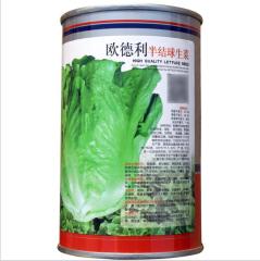 50gram winter lettuce seeds