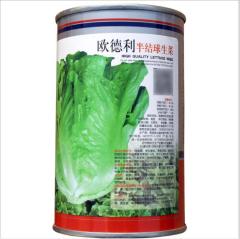 150gram buy wild lettuce seeds