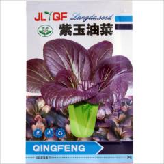2000 seeds lowes lettuce seeds