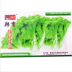 1000 seeds different types of lettuce to grow