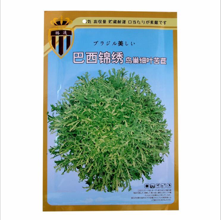 10gram endive seeds for planting