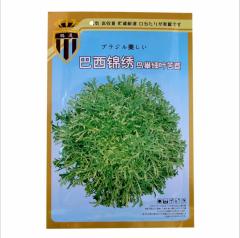 10gram endive seeds for planting