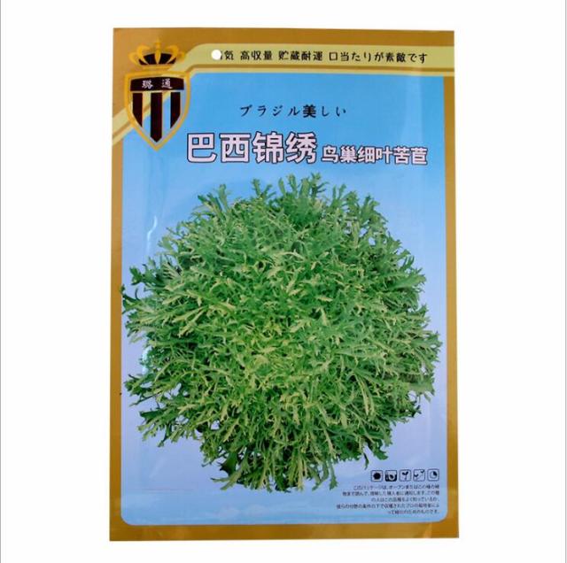 10gram endive seeds for planting