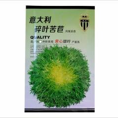easy to plant in farm garden Cichorium endivia seeds/endive seeds 10gram/bags for planting